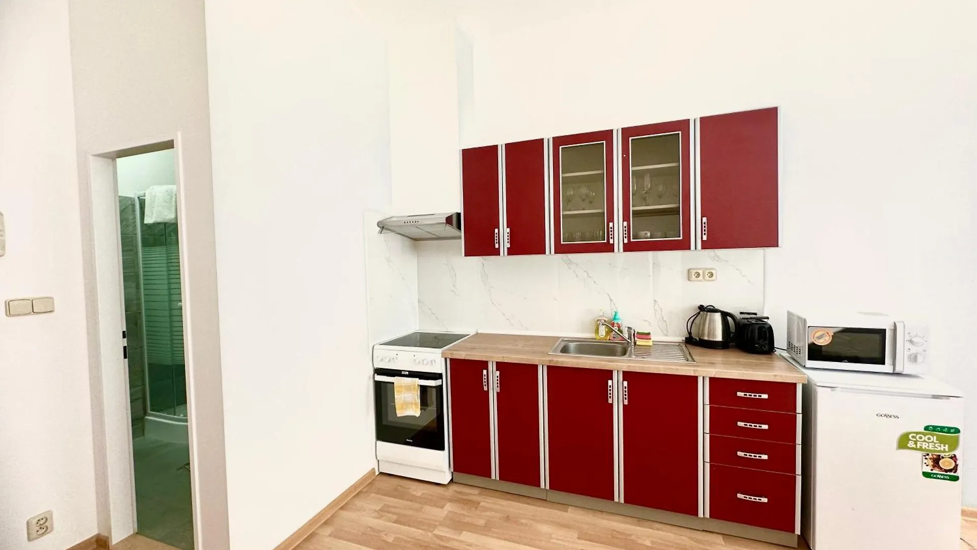 Apartment Erika Karlovy Vary Česká republika