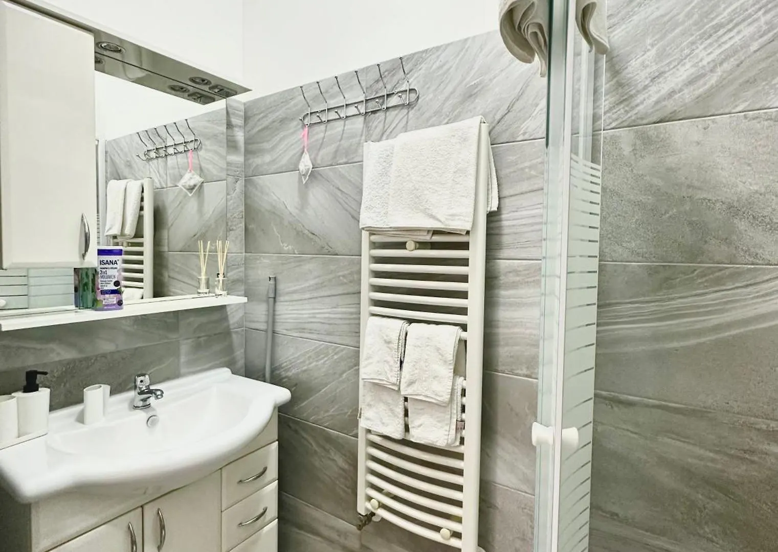 Apartment Erika Karlovy Vary